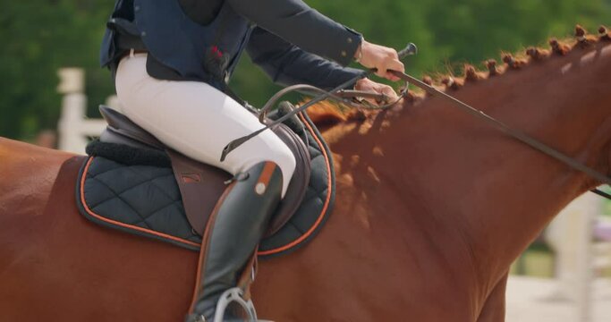 Cinematic slow motion close up of young female horsemanship master dressed in a professional apparel is practising exercises for competition of horse racing. Show jumping horse