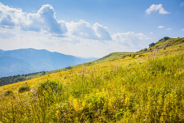 Fototapeta premium Beautiful view of the Ukrainian mountains Carpathians and valleys.Beautiful green mountains in summer with forests, rocks and grass. Water-making ridge in the Carpathians, Carpathian mountains