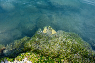 Waterfront at the lake Balaton.High quality photo