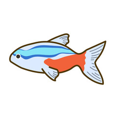 ネオンテトラ01