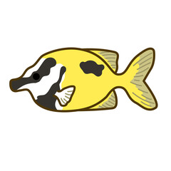 ヒフキアイゴ01