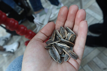 crab in hand, turkish sunflower seed