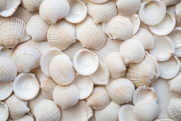 Fototapeta na wymiar White shellfish pattern sea. Generate Ai