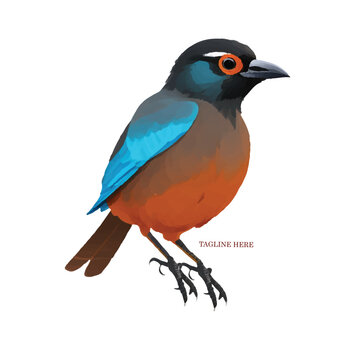Hummingbird Logo Images