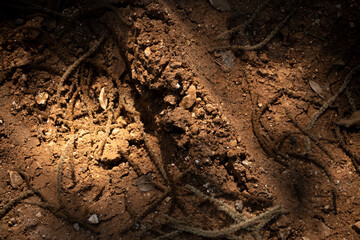 Red soil background, natural rocky ground

