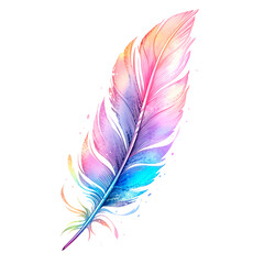 colorful feather with transparent background