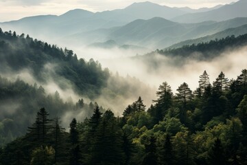 Fototapeta na wymiar Smoky cloudy mountains trees earth. Generate AI
