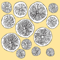 A set of hand-drawn linear art cut oranges 13 pieces of different sizes, black and white on a yellow background - 631069206