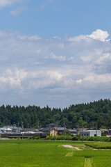 田んぼと列車のある風景