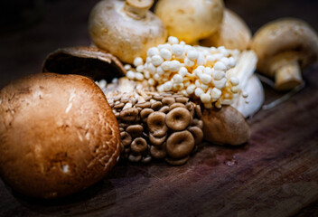 Exotic Mushrooms on chopping boards