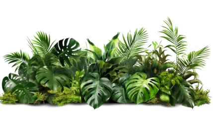 Foto op Aluminium Tropical foliage plant bush (Monstera, palm leaves, Calathea, Cordyline or Hawaiian Ti plant, ferns, and fir) floral arrangement indoors garden nature backdrop made with AI generative technology © The Picture House