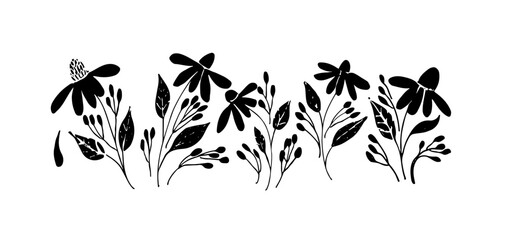 Vector botanical set of  blooming plants echinacea with leaves . Flowers Japanese style grunge, black and white texture. Monochrome creative botanical wallpaper design