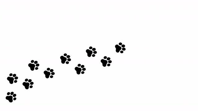 Animation: a trail of black footprints (comics silhuoette shapes) on a white background, a cat walking on a path, going from left to right.