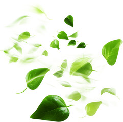 Green Floating Leaves Flying Leaves Green Leaf Dancing, Air Purifier Atmosphere Simple Main Picture
