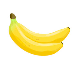 Two bananas isolated on white background, vector illustration