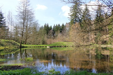 Fototapeta na wymiar small lake in a wood with reflections
