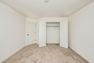 empty carpet room with open closet door