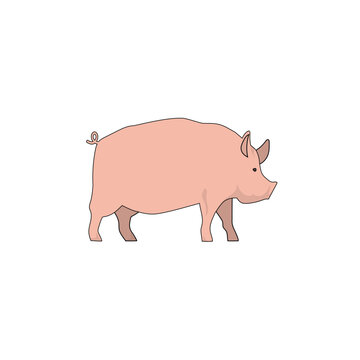 pig vector type icon