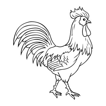 rooster walking outline vector illustration
