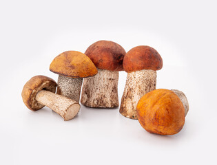 Boletus mushrooms with shadows isolated on a white background. The Cup, Porcini mushrooms, and other forest mushrooms, making it a perfect package design element