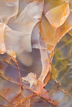 Colorful Arizona Fossiled Wood
