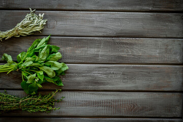 Fresh green basil cumin rosemary for cooking ingredients, top view