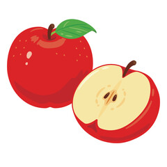 りんご　断面セット