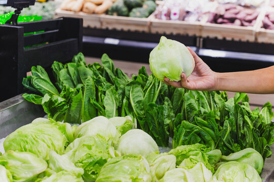 Housewife choosing green iceberg lettuces in grocery store.