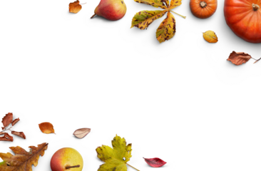 A collection of autumn fall leaves, fruits and pumpkins a forming a border, frame, layout isolated against a transparent background for thanksgiving fall and harvest festivals.