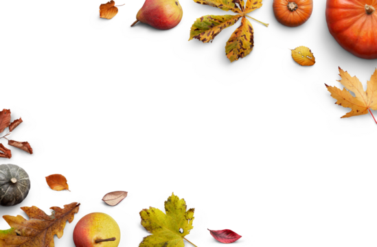 A collection of autumn fall leaves, fruits and pumpkins a forming a border, , layout isolated against a transparent background for thanksgiving fall and harvest festivals.