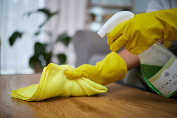 Person, hands and cloth with detergent for cleaning table, housekeeping or germ and bacteria at home. Closeup of maid, cleaner or housekeeper with gloves and spray on furniture desk for clean hygiene