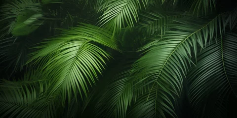 Foto op Plexiglas closeup of beautiful palm leaves in a wild tropical palm garden, dark green palm leaf texture concept full framed © Moiz