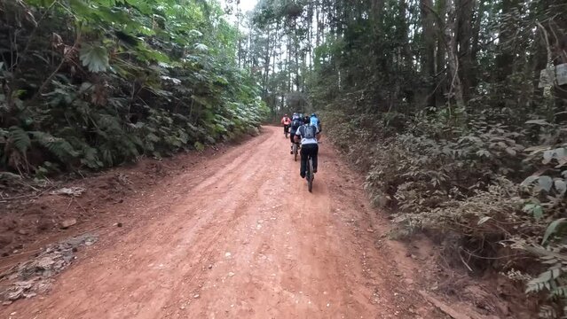 Serra do Japi Mountain Biking: Adrenaline and Stunning Views. Fluid Footage - GoPro - 4k - Helmet view (POV)