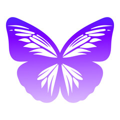 Butterfly. Illustration on transparent background