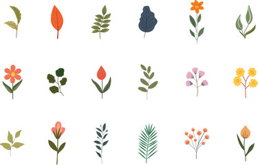 Various colorful hand drawn leaves and flowers set