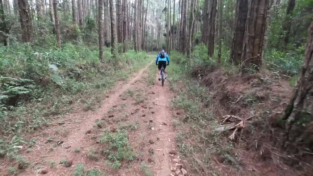 Serra do Japi Mountain Biking: Adrenaline and Stunning Views. Fluid Footage - GoPro - 4k - Helmet view (POV)