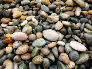 Wet color pebbles on the beach.