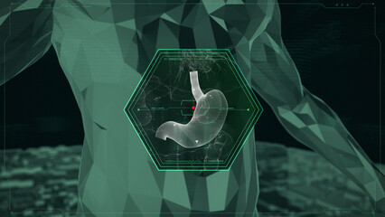 Human Stomach Technology X-Ray Scanner
