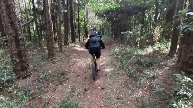 Serra do Japi Mountain Biking: Adrenaline and Stunning Views. Fluid Footage - GoPro - 4k - Helmet view (POV)