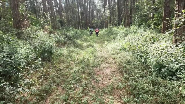 Serra do Japi Mountain Biking: Adrenaline and Stunning Views. Fluid Footage - GoPro - 4k - Helmet view (POV)