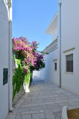 A characteristic alley of  Castro, an old village in the province in Puglia, Italy.