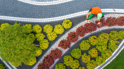 Gardener Shaping Back Yard Garden Plants Using a Trimmer