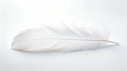 Ethereal White Feather Floating Against Stark White Backdrop. Generative ai