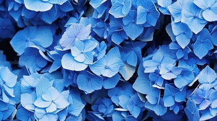 a bunch of blue flowers that are very pretty in color.  generative ai