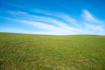 Background texture of green grass on hills against blue sky with some clouds on a sunny day. Empty...
