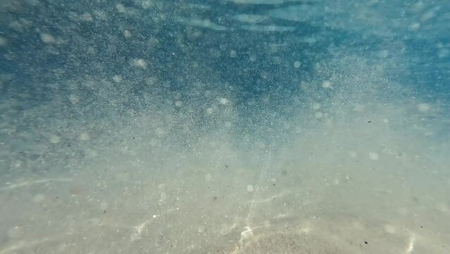 Glittering sand and school of fish underwater in Maldives Indian Ocean
