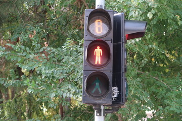 Traffic light in the city
