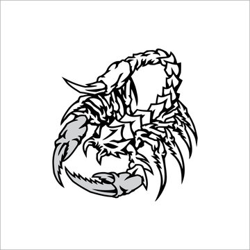 ferocious scorpion vector illustration can be used as sticker