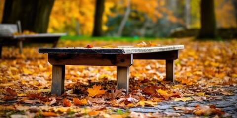 table in the autumn park