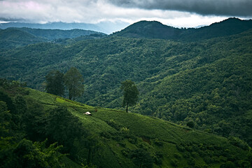 Fototapeta premium Green Season mountains in morning